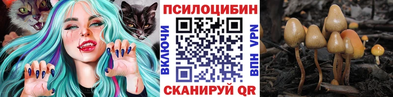 Псилоцибиновые грибы мицелий  Кудымкар 