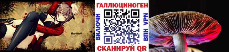 Галлюциногенные грибы Cubensis Кудымкар